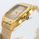 TW Factory Replica Cartier SANTOS Gold Stainless Steel (6)_th.jpg